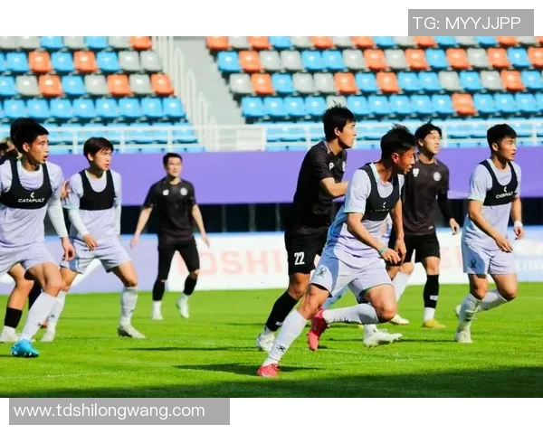 杭州足球队的拼搏历程与杯赛荣耀的背后故事