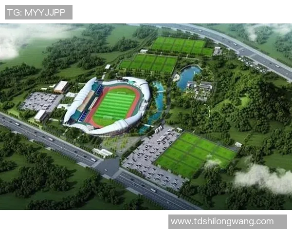 开封足球桑的崛起与发展探索足球文化的传承与创新之路